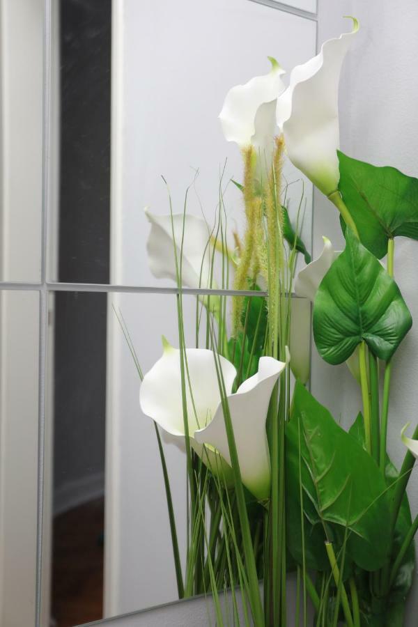Skadar Apartment Beograd Eksteriør bilde